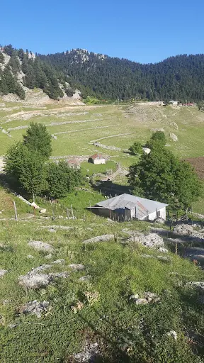 Tahtalı Yaylası 2