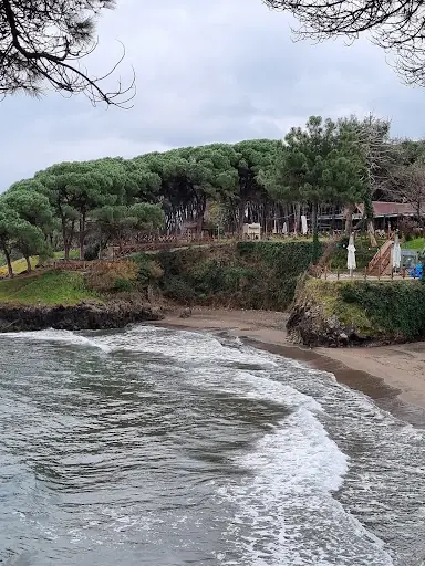 Çamlık Piknik ve Mesire Alanı