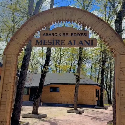 Asarcık Belediyesi Mesire Alanı 3