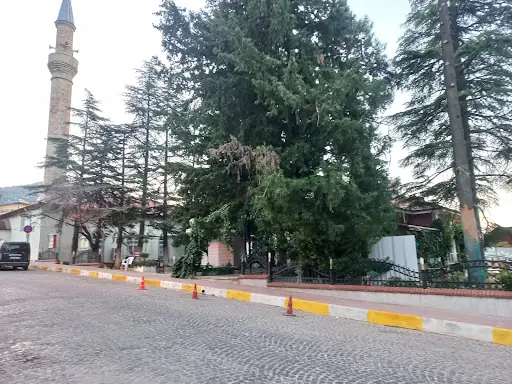 Akseki Toplum Sağlığı Merkezi