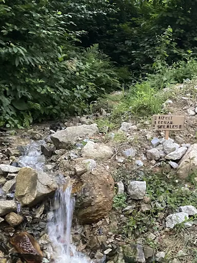 Rizeli Kenan Şelalesi