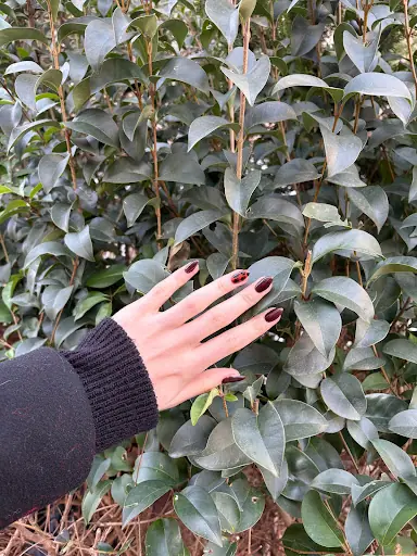 Dilan Oğuz Nail Salon 3