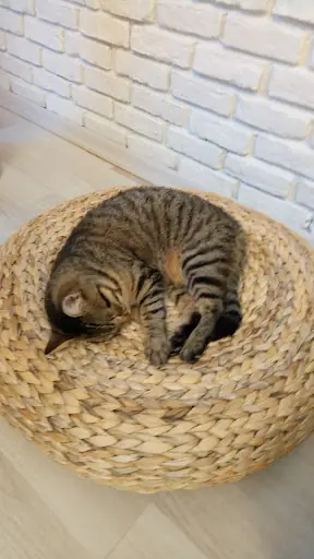 Reine Güzellik Merkezi 2