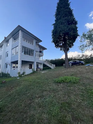 Güler Malikhanesi Ordu 2