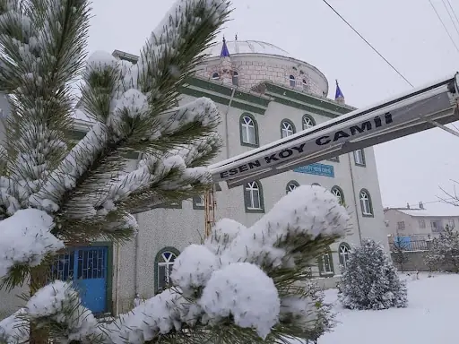 Esenköy Cami 4