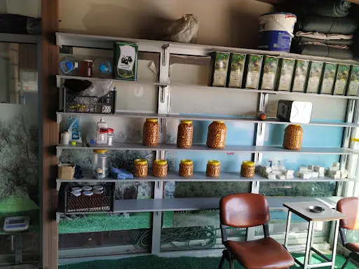 Zeytinci Şadan