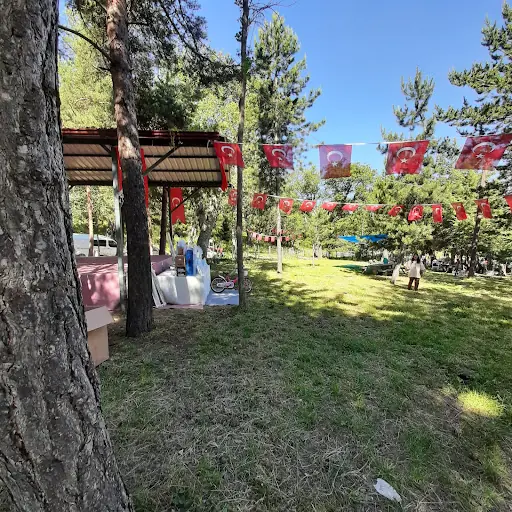 Dede Çam Türbesi 2