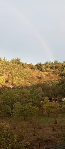 Pati pata hobi ciftligi 2