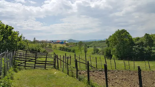 DEĞİRMENCIOĞLU MAHALLESI ACISU KÖYÜ ASARCIK SAMSUN 3