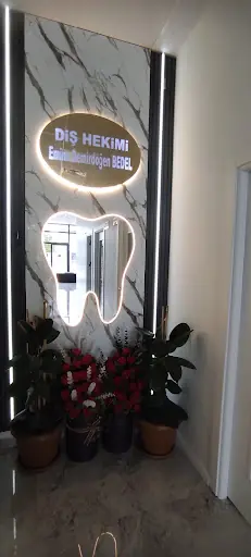 Diş Hekimi Emine Demirdöğen Bedel Muayenehanesi 4
