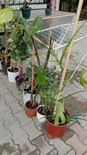 Hülya kuaför Kayseri 3