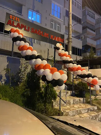 ALAPLI SAĞLIK KABİNİ