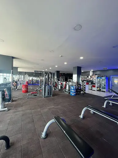 Flex Fitness 2