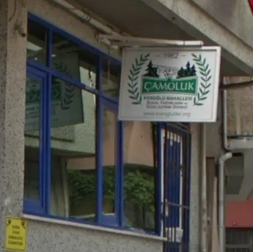 Çamoluk – Diğer (Güzellik), İstanbul