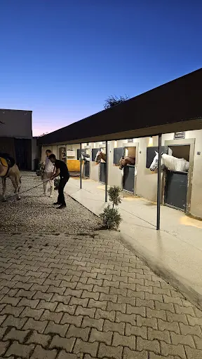 NOI AT ÇİFTLİĞİ - Tokat