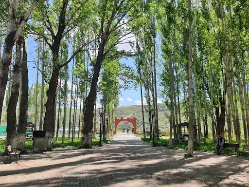 Park Alanı 2