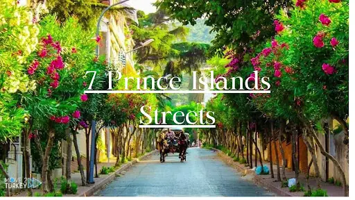 Princes' Islands Tour 3