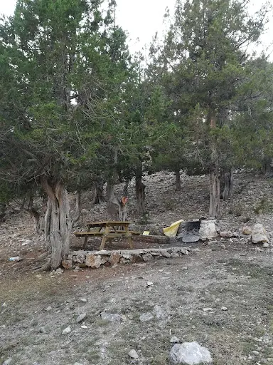 Pasaderesi Piknik Alanı 5