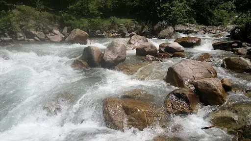 Ekrem Orhon Çamlık Piknik Mesire Yeri 2