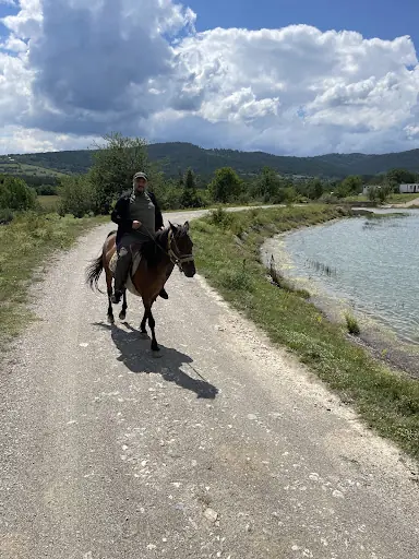 Daday Atlı Terapi ve Binicilik Merkezi