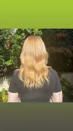 Hair Prof Saloon Leo 2