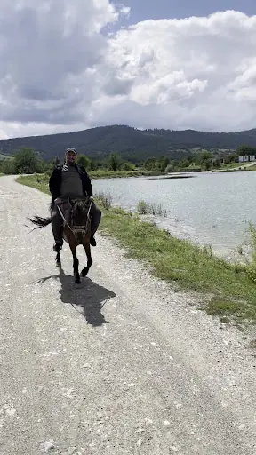 Daday Atlı Terapi ve Binicilik Merkezi 3
