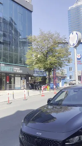 Dr.Cem Altindag Istanbul 4