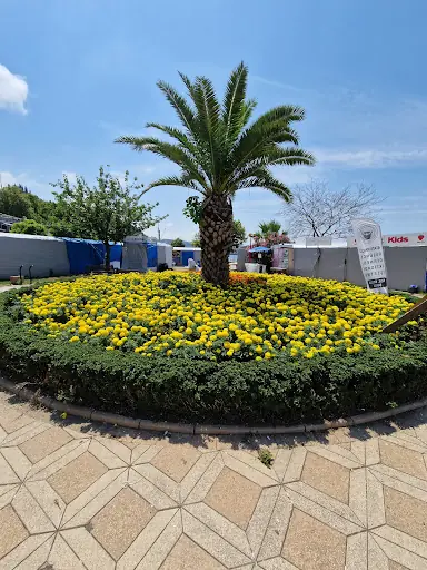 Karadeniz Center – Diğer (Güzellik), İstanbul (3. fotoğraf)