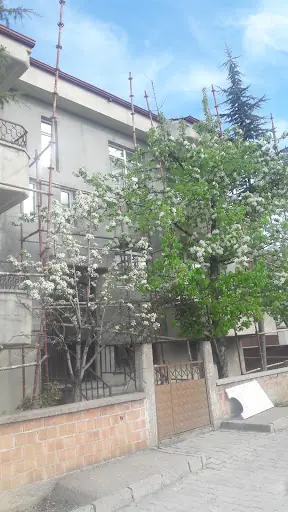 Mecitözü Otogar
