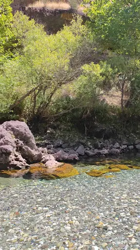 Şavaliya 4