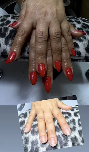 Just Beauty House 4