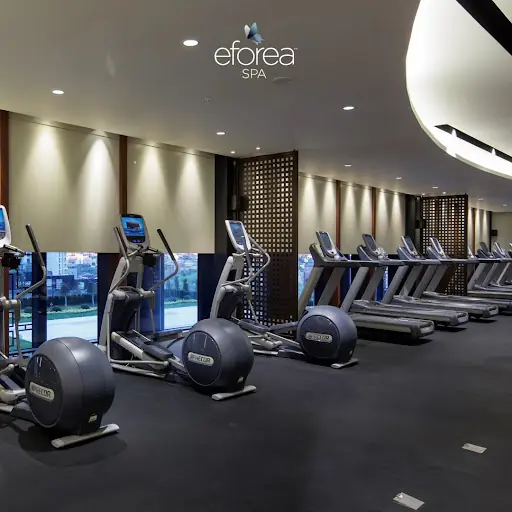 eforea Spa – SPA & Wellness, İstanbul (3. fotoğraf)