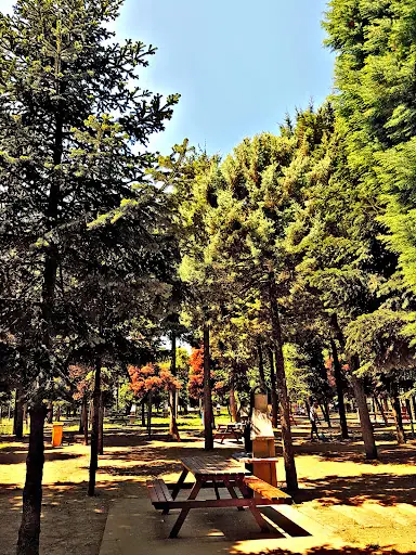 Hatıra Koruluğu 2