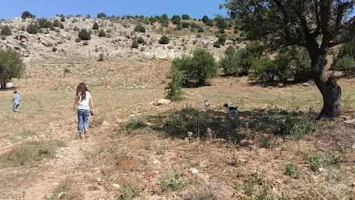 Beyköy Hatıra Ormanı 4