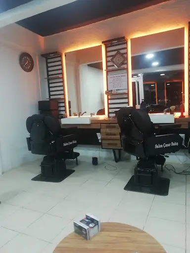 Salon Çınar Bakış 4