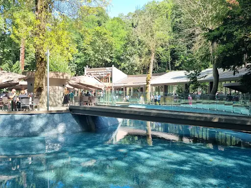 İBB Beykoz Kır Bahçesi Sosy 2