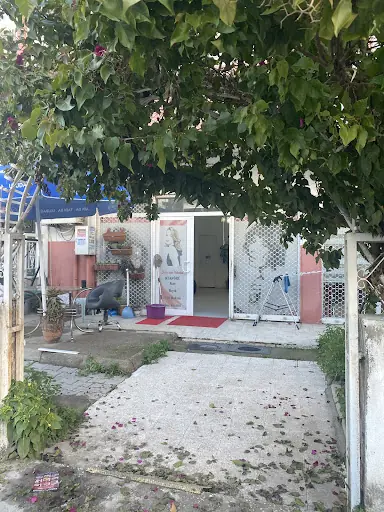 Sercan Bayan kuaförü