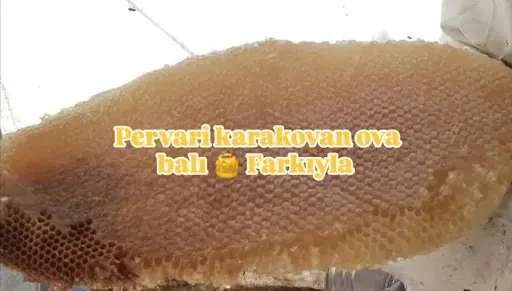 Pervari Gürzova Balı 2