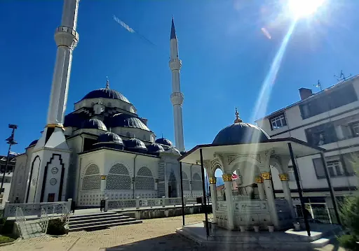 Koyulhisar Belediyesi 2