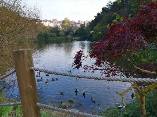DERBENT KORUSU – Diğer (Güzellik), İstanbul