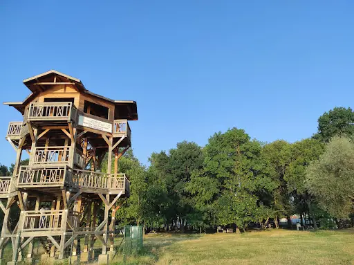 Yeniçağa Gölü Kuş Cenneti 4