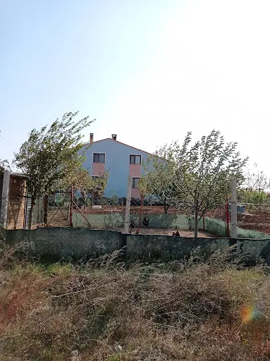 Bayramiç Deve Güreşi Arenası 2