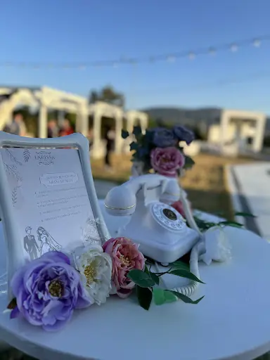 Larissa Kına Davet salonu Kütahya 4