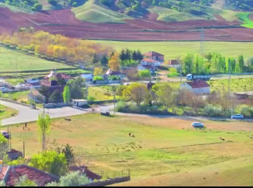 Ali Bedir Hatıra Ormanı Parkı 3