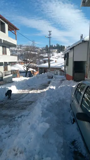 Hacılar Köyü Muhtarlığı 4