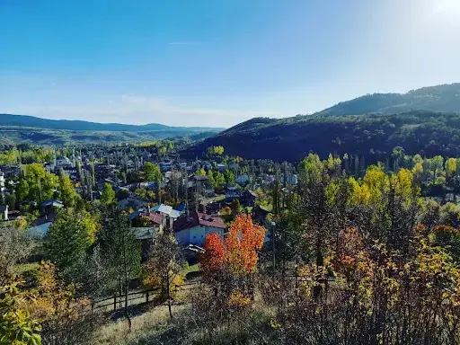 Başçiftlik Belediyesi