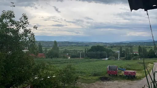 StudiOje 3