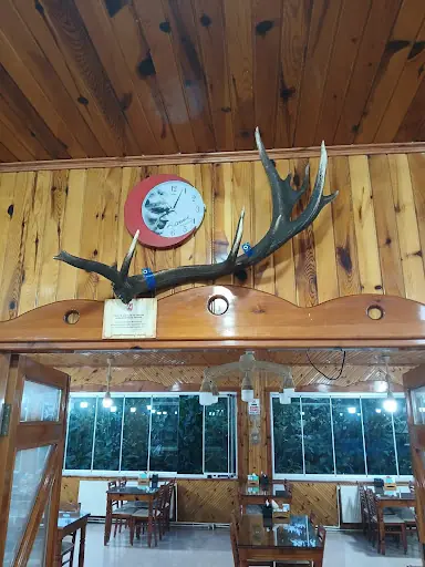 Demircan Aile Balık Restoranı 2