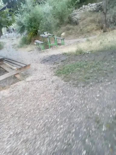 Pir ali ziyareti