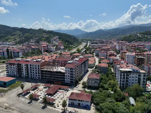 Türkeli Sahilgülü 2